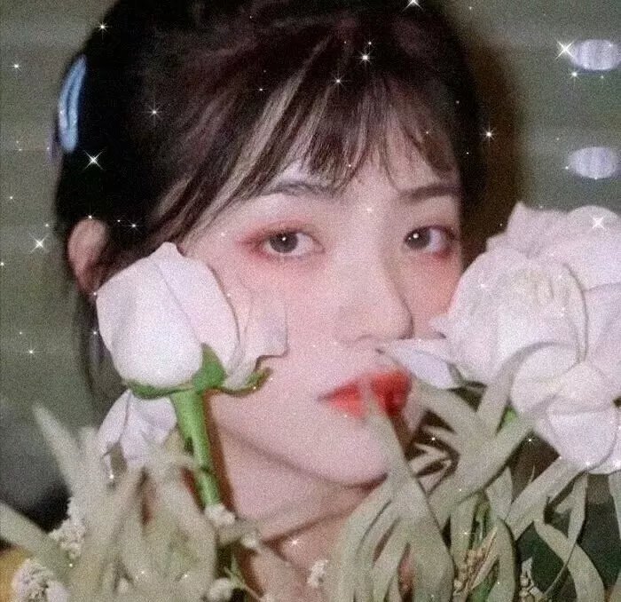 八彩林亚珍粤语